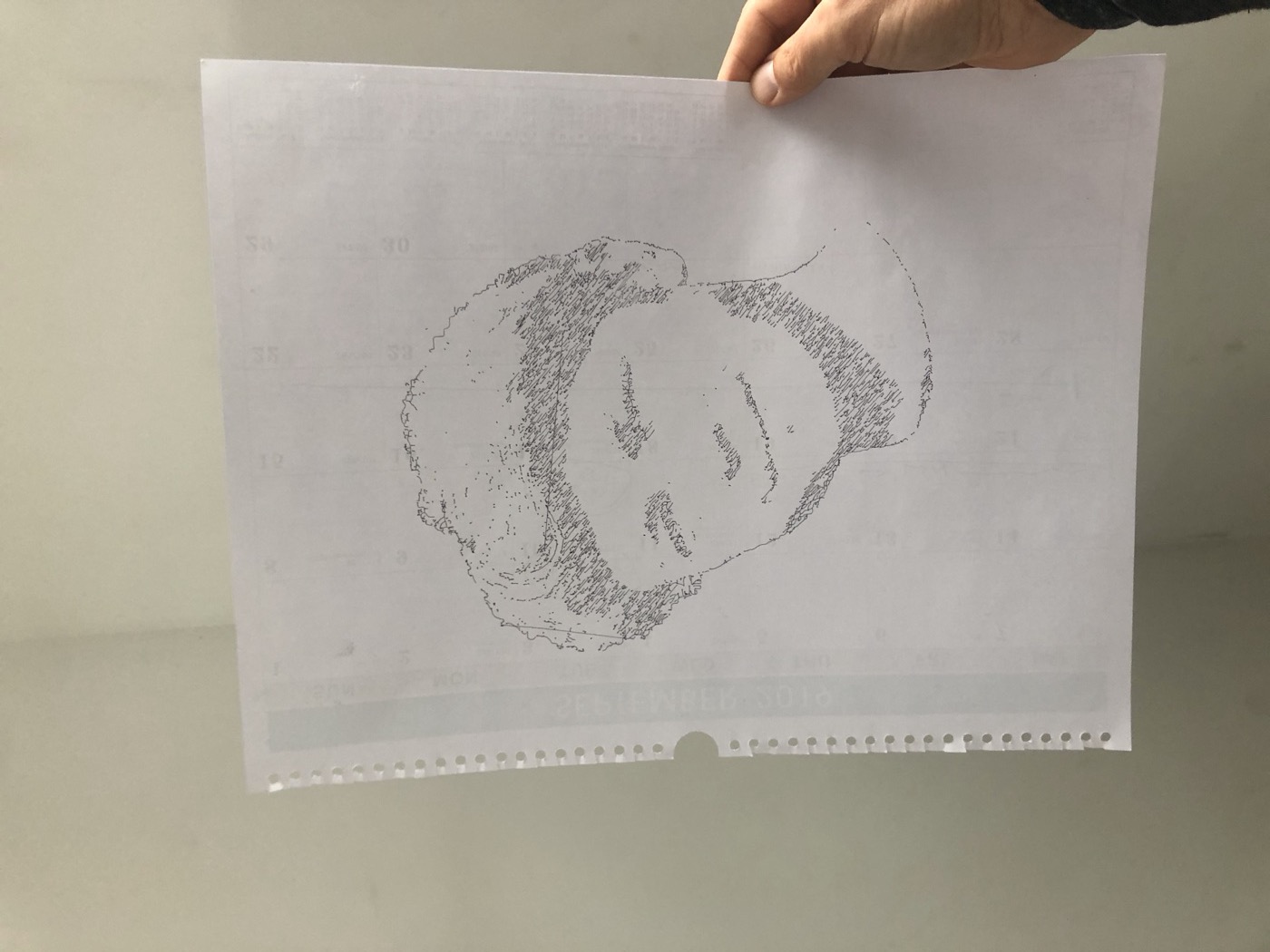 Portrait of one of my kids, drawn as scribbled hatching